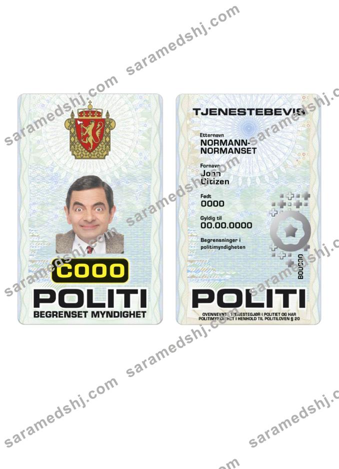 Norway Police ID card